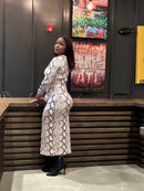 Snake Print Dress