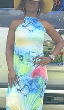 Elaine Multicolor Halter Dress