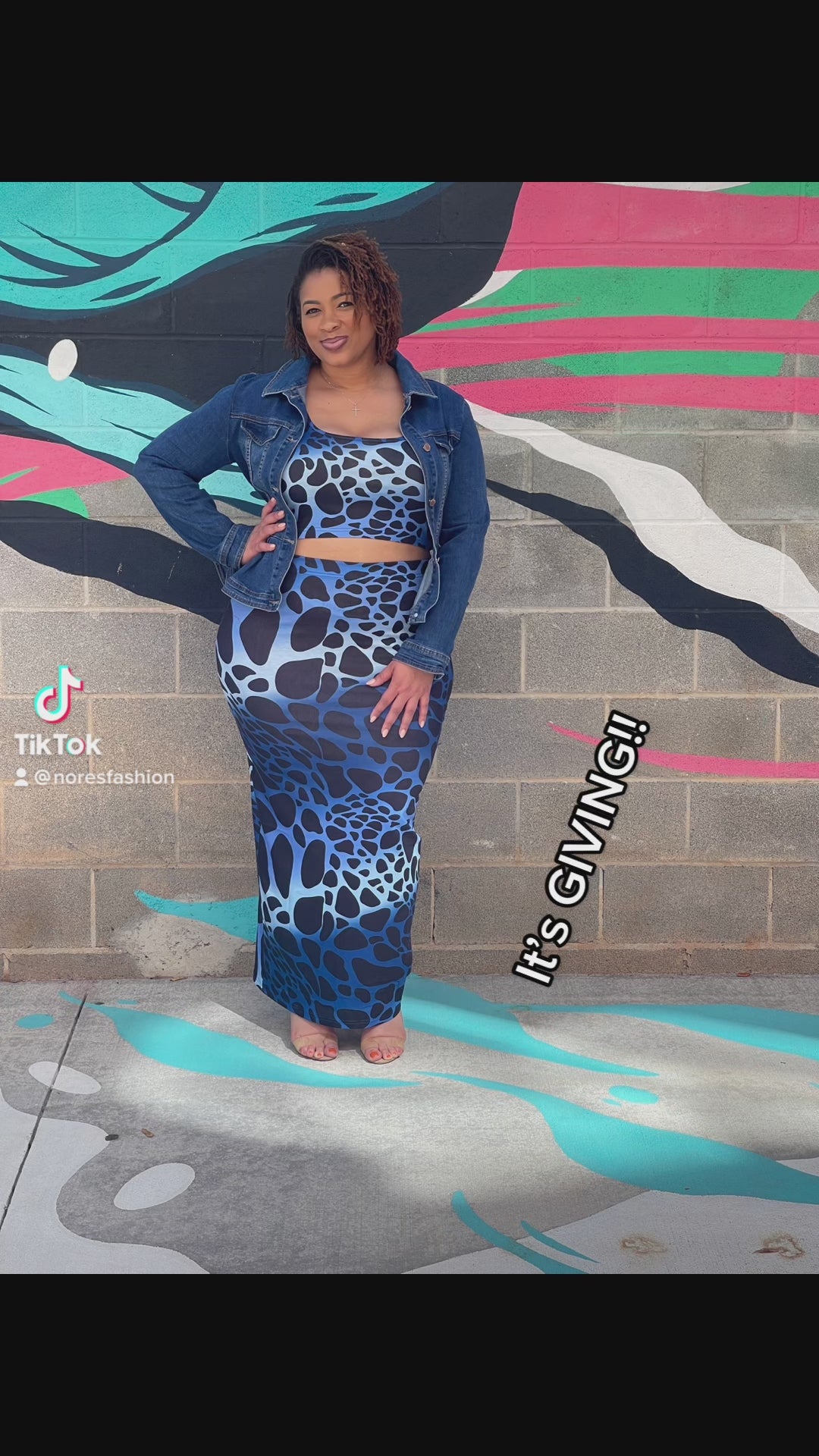 Leopard Print Plus Size Skirt Set