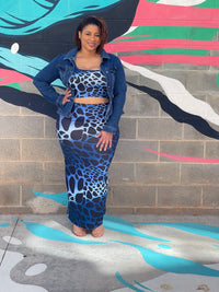 Leopard Print Plus Size Skirt Set